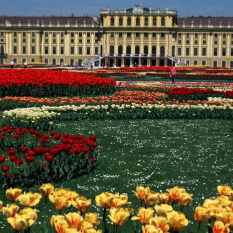 Wien/Nußdorf, Donaustation 29
