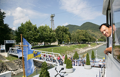 Spitz - 15