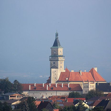 Wallsee/Altarm, Danube station 2