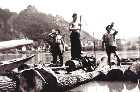 Die Wurzeln der Donau­kompetenz Die Wurzeln der Donau­kompetenz