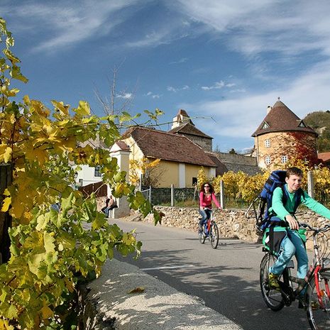 Spitz, Donaustation 15