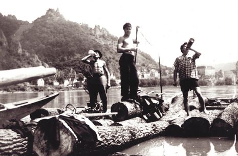 A history of Danube­ expertise A history of Danube­ expertise